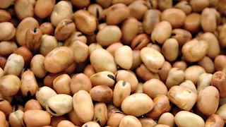 ارتفاع أسعار الفول والدقيق واللحوم بالأسواق اليوم الأربعاء (موقع رسمي)