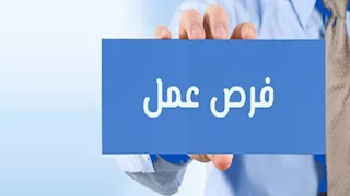الاثنين المقبل.. 6000 فرصة عمل للشباب بملتقى التوظيف القومي في الشرقية 