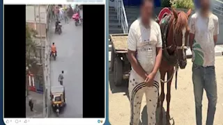 كشف ملابسات فيديو عربة كارو تسير عكس الاتجاه بالقاهرة وضبط المتهمين