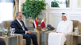 وزير الخارجية يؤكد أهمية خفض التصعيد في المنطقة
