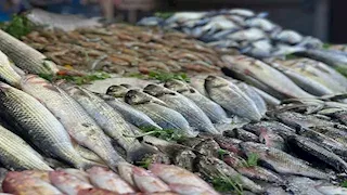 أسعار الأسماك والمأكولات البحرية في سوق العبور اليوم.. 77 جنيها لكيلو البلطي