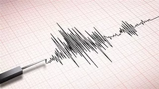 بقوة 4.6 درجات.. زلزال يضرب جنوب شرقي إيران