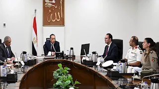 الزراعة: إنشاء منظومة لتلقي بلاغات وشكاوى المواطنين من الكلاب الضالة