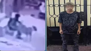 بعد فيديو أثار الغضب.. ضبط المتهم بالتعدي على كلب ضال بالمنوفية