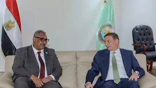 تشكيل فريق عمل مصري سوداني لدعم التعاون الزراعي