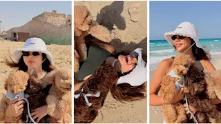 يارا السكري تخطف الأنظار بإطلالة صيفية برفقة كلابها على شاطئ البحر