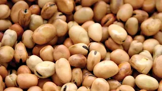 ارتفاع أسعار الفول والزيت واللحوم بالأسواق اليوم الأربعاء (موقع رسمي)