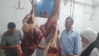قبل طرحها بالأسواق.. ضبط نصف طن لحوم ودواجن فاسدة في المنوفية (صور)