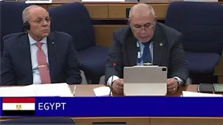 مصر تدعو لدعم اللغة العربية في نظام GISIS خلال اجتماعات المنظمة البحرية الدولية