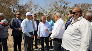محافظ القاهرة يتفقد المعادي ويوجه بتكثيف النظافة وإزالة الإشغالات والتوسع في التشجير