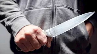 بسبب أزمة نفسية.. شاب ينهي حياة شقيقه طعنًا بالسكين في البحيرة
