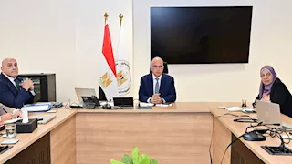 وزير الري يوجه ببدء التشغيل التجريبي للتوأم الرقمي لترعة الإسماعيلية.. ما هو؟
