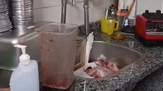 ضبط معمل لتصنيع الآيس كريم والكاساتا داخل محل ملابس في بورفؤاد