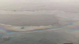 ظهور بقعة زيت في مياه نهر النيل بالأقصر وتحرك عاجل من الري -صور