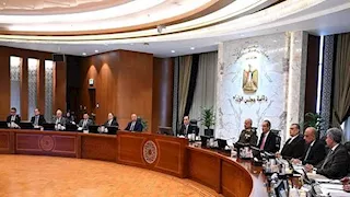 إسقاط الجنسية عن مصري بسبب الخدمة العسكرية.. تفاصيل