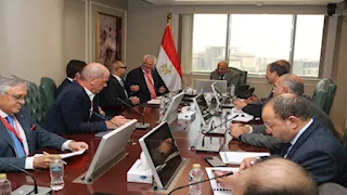 وزير الكهرباء يتابع مستجدات تنفيذ مشروع محطات الطاقة الشمسية بسيناء