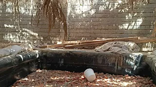 جثتان و6 مصابين.. ننشر أسماء ضحايا "بيارة المخلل" بالمنيا 