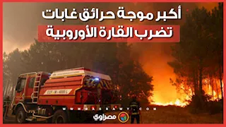 حرائق الغابات تلتهم المساحات الخضراء في أوروبا.. وإسبانيا وبلجيكا في صدارة المتضررين