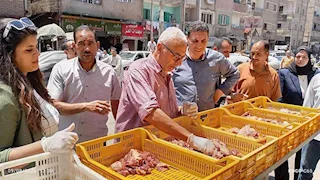 تحرير 228 مخالفة تموينية وضبط 1400 لتر سولار قبل تهريبها بالمنيا