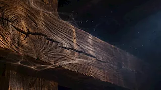 لماذا يصدر الخشب أصواتا غامضة في الليل؟ 