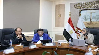 الوادي الجديد تستهدف جذب استثمارات صينية باستصلاح 1000 فدان (صور)