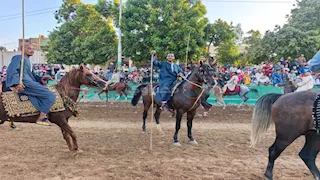 ليه "المرماح" مش مجرد سباق خيل؟.. أسرار وطقوس الفروسية في صعيد مصر (فيديو وصور)