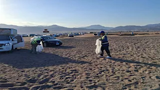منها 33 ألف "عقب سيجارة".. رفع 5 طن مخلفات من شواطئ دهب