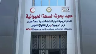 دراسة: القراد يرفع خطر إصابة الأبقار بمرض البابيزيا 21.6 مرة