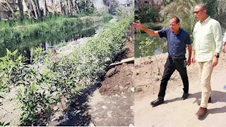 محافظ الجيزة: زراعة 3350 شجرة بأبو النمرس ضمن مبادرة "ازرع شجرة"