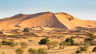 استعدادًا لـCOP18.. مصر تستعرض رؤيتها لمكافحة التصحر في اجتماع أممي