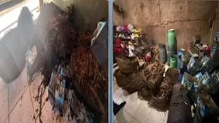 معسل بعلامة تجارية وهمية.. ضبط مصنع غير مرخص بدمياط