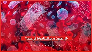 هل ظهرت عدوى السالمونيلا في مصر؟.. الصحة تحسم الجدل