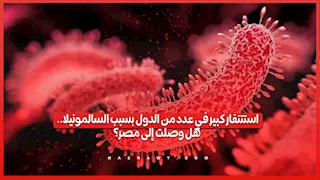 السالمونيلا تنتشر في عدة دول.. كيف تنتقل؟ وهل وصلت إلى مصر؟