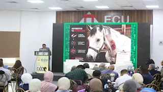 عميد "بيطري القاهرة": طب الخيول أحد الفروع الحيوية في الطب البيطري