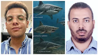 جامعة القاهرة تعلن اكتشاف "مقبرة لأسماك القرش" عمرها أكثر من 70 مليون عام 