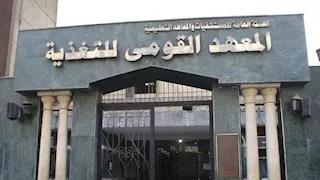هل تناول البيض يساعد على إنقاص الوزن؟.. "القومي للتغذية" يوضح