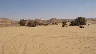 "تظهر لمن يضل الطريق".. حكايات مثيرة عن واحة زرزورة المفقودة بالوادي الجديد (صور)