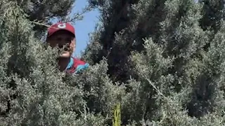 مشجع طرابزون يتسلق شجرة لمشاهدة محمد صلاح لحظة وصوله إلى تركيا (صور)