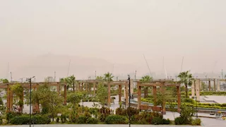 بسبب عاصفة ترابية.. أسوان توقف الملاحة النهرية وترفع درجة الطوارئ