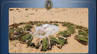 هيدرو بـ1.4 مليار جنيه و9 مخازن سرية.. ماذا وجدت الداخلية في صحراء القنطرة شرق؟