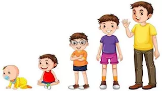 هل أنت البكر أم الأصغر؟.. دراسة تكشف علاقة ترتيب الولادة بمخاطر الإصابة بـ150 مرضا