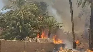 قبل امتداده للمنازل.. إخماد حريق ضخم في أشجار وحشائش بقرية بالمنيا (صور)