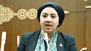 استشهدت بقانون العمل.. برلمانية تعلق على جدل فصل موظف بـ"مول العرب"