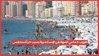 هروب جماعي لشواطئ الإسكندرية بسبب حر أغسطس