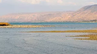 شمّاعة إسرائيلية.. كيف أصبحت "طبرية" ضحية لطحلب مصري لم يصلها أبدًا؟