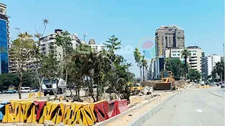 11 صورة.. بدء تشجير شارع جامعة الدول بعد توجيهات الرئيس