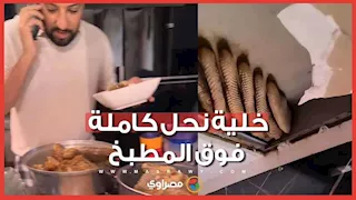 خلية نحل عملاقة تختبئ فوق سقف مطبخ شاب لسنوات.. ما القصة؟