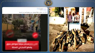 "قطعوا شجرتين وباعوا أخشابهما".. ضبط 3 أشخاص لاتهامهم بقطع الأشجار في الغربية