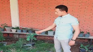 نباتات يمكن زراعتها فوق أسطح المنازل والبلكونات.. بينها النعناع والفلفل