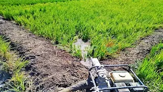 مياه الري للفلاحين.. ماذا تفعل عند نقص المياه أو عدم وصولها إلى أرضك؟